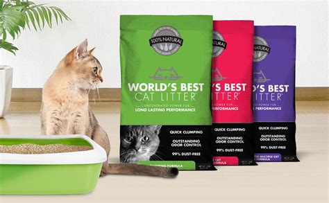 best eco friendly cat litter.